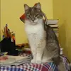 Отзыв от Ангелина Богомолова